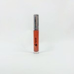 Pout Lip Gloss